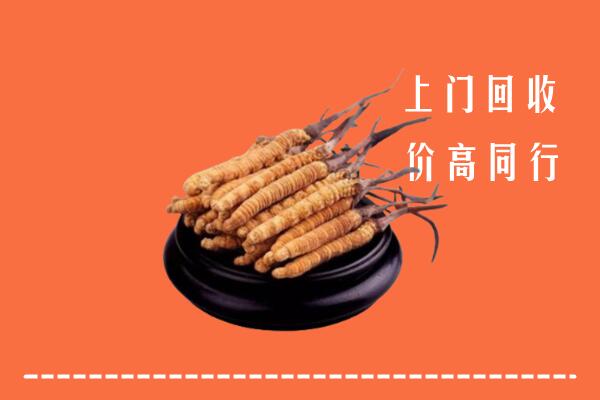 高价求购：武威市凉州回收散虫草