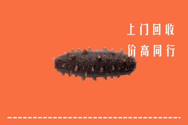 高价求购：武威市凉州回收海参