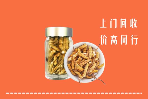 武威市凉州回收冬虫夏草