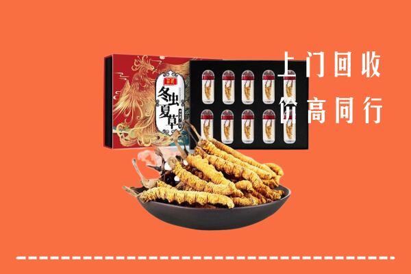 武威市凉州回收虫草